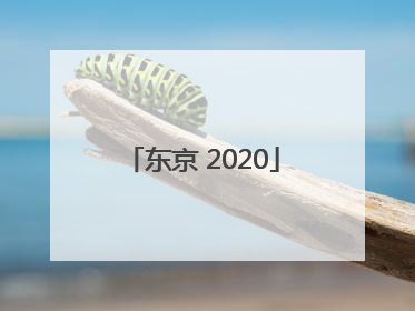 「东京 2020」2020奥运会游戏