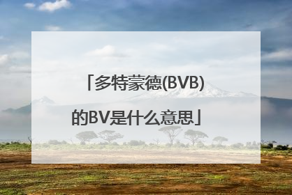 多特蒙德(BVB)的BV是什么意思