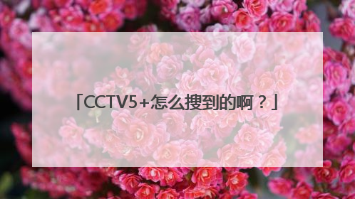 CCTV5+怎么搜到的啊？