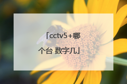 cctv5+哪个台 数字几
