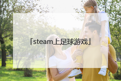「steam上足球游戏」steam足球游戏排行榜前十名